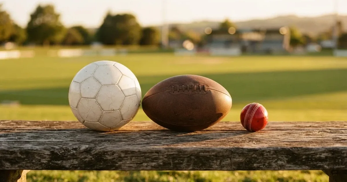 Three balls of different kinds side by side on a wooden bench